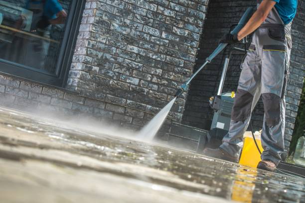 Best Gutter Cleaning  in Plainwell, MI