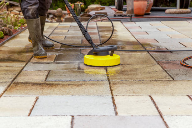 Best Animal Enclosure Cleaning  in Plainwell, MI